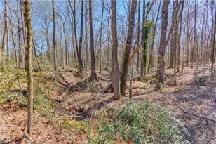 362 Dixie Red Ave, Jefferson, GA 30549 - Photo 25