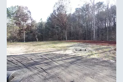 3939 Laurens Lane, Snellville, GA 30039 - Photo 39