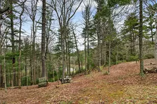 44 Bettis Cir, Ellijay, GA 30536 - Photo 55