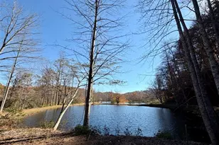 130 Cv Vw Ln, Clarkesville, GA 30523 - Photo 15