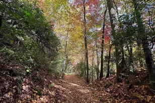 90 Cv Vw Ln, Clarkesville, GA 30523 - Photo 53