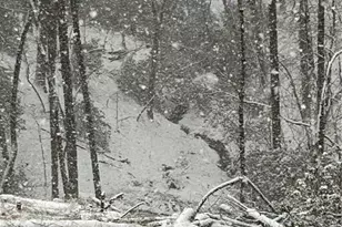 397 Early Dr, Dahlonega, GA 30533 - Photo 81