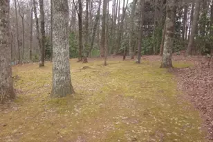 84 Rackley Rd, Jasper, GA 30143 - Photo 13