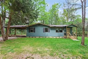 179 George Revell St, Senoia, GA 30276 - Photo 1