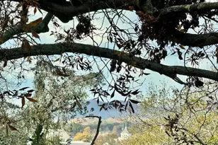 351 Washington Ave NE, Marietta, GA 30060 - Photo 13