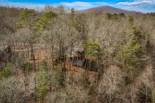 275 N Moreland Dr, Cherrylog, GA 30522 - Photo 25