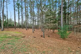 10 Susanne Ct, Rome, GA 30165 - Photo 49