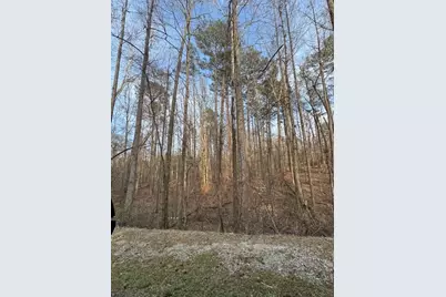 00 Cascade Palmetto Highway, Fairburn, GA 30213 - Photo 3