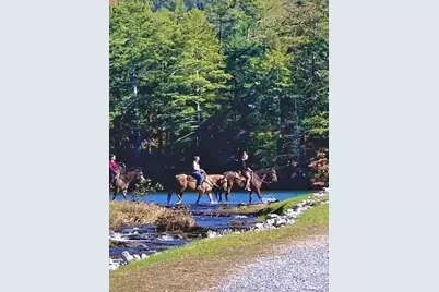 30 Tamarack Court, Jasper, GA 30143 - Photo 67