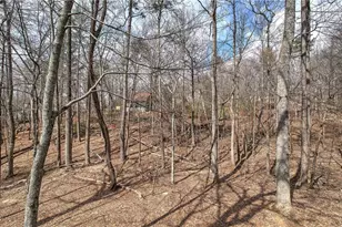 30 Tamarack Ct, Jasper, GA 30143 - Photo 31