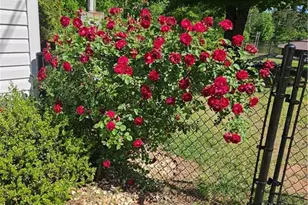 156 Montego Bay Rd NW, Milledgeville, GA 31061 - Photo 47