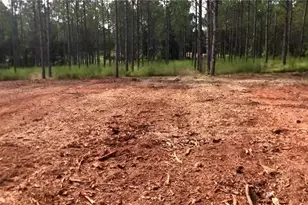 0 Sanford Rd, Nicholson, GA 30565 - Photo 1