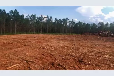 0 Sanford Road, Nicholson, GA 30565 - Photo 5