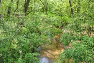 191 Thoroughbred Run, Hoschton, GA 30548 - Photo 75