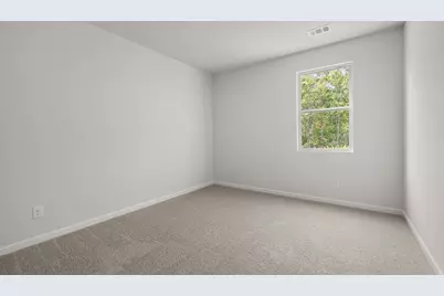 41 Capital Court, Braselton, GA 30517 - Photo 13