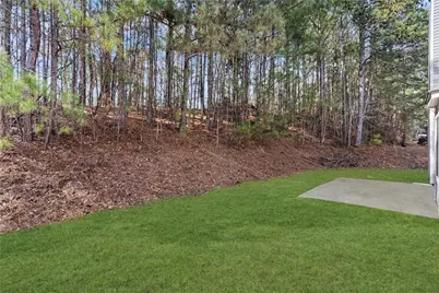 3909 Belmont Ridge Drive, Lithonia, GA 30038 - Photo 31