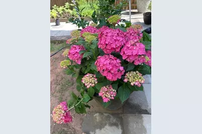 1678 Stilesboro Ridge Drive NW, Kennesaw, GA 30152 - Photo 51