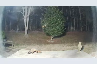 11 Nashport Lane, Dawsonville, GA 30534 - Photo 45