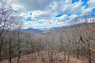 1397 Chestnut Cove Trail, Jasper, GA 30143 - Photo 47