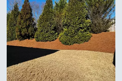 462 Spring View Drive, Woodstock, GA 30188 - Photo 3