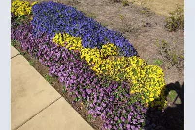 462 Spring View Drive, Woodstock, GA 30188 - Photo 5