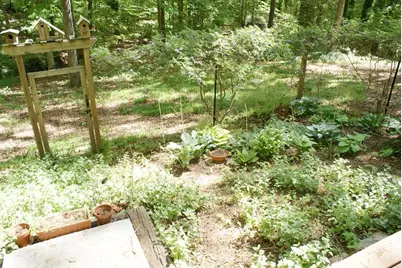 1146 Lakeshore Drive, Gainesville, GA 30501 - Photo 49