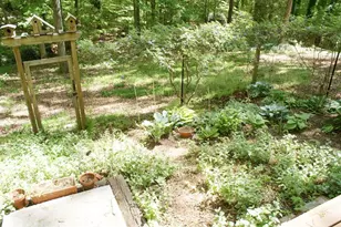 1146 Lakeshore Dr, Gainesville, GA 30501 - Photo 49