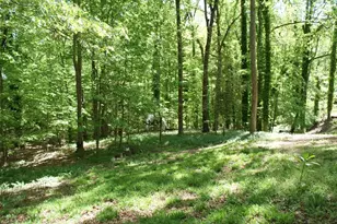 1146 Lakeshore Dr, Gainesville, GA 30501 - Photo 55