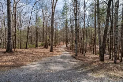 858 River Forest Run, Cleveland, GA 30528 - Photo 43