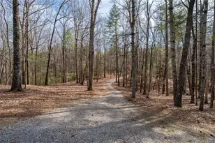 858 River Forest Run, Cleveland, GA 30528 - Photo 43