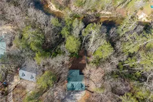 858 River Forest Run, Cleveland, GA 30528 - Photo 39