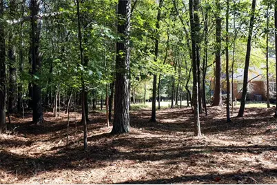 482 Buck Trail, Hoschton, GA 30548 - Photo 41