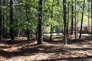 482 Buck Trail, Hoschton, GA 30548 - Photo 41