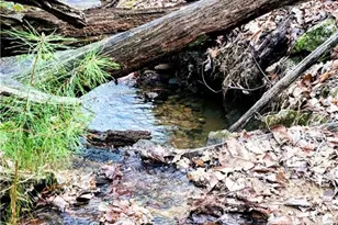 62 Cardinal Cove, Jasper, GA 30143 - Photo 43