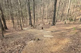 62 Cardinal Cove, Jasper, GA 30143 - Photo 41