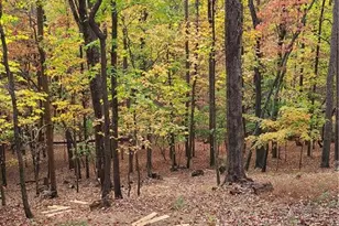 62 Cardinal Cove, Jasper, GA 30143 - Photo 37