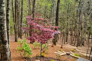 62 Cardinal Cove, Jasper, GA 30143 - Photo 37