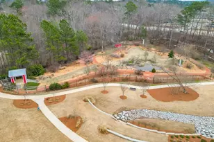 3820 White St, Suwanee, GA 30024 - Photo 53