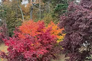 156 Plantation Trce, Woodstock, GA 30188 - Photo 7