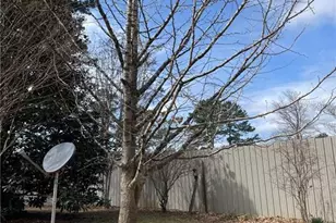 175 Loblolly Ln, Blairsville, GA 30512 - Photo 17