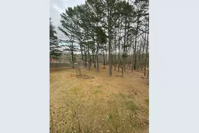 175 Loblolly Lane, Blairsville, GA 30512 - Photo 47