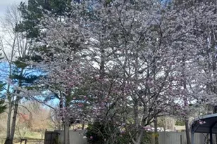 175 Loblolly Ln, Blairsville, GA 30512 - Photo 59