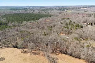 1174 Bear Creek Rd, Moreland, GA 30259 - Photo 75