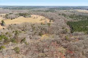 1174 Bear Creek Rd, Moreland, GA 30259 - Photo 71