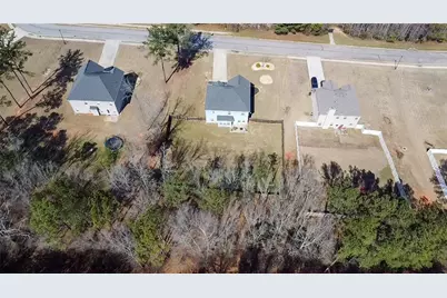 125 Clear Springs Drive, Jackson, GA 30233 - Photo 5