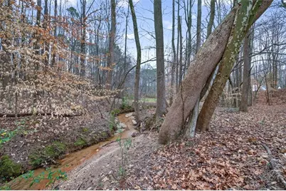 1020 Lower Union Hill Road, Canton, GA 30115 - Photo 59