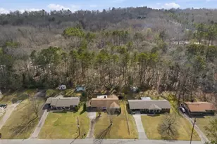 921 McCurdy Blvd, Manchester, GA 31816 - Photo 51