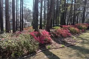 [Address not provided], Loganville, GA 30052 - Photo 23