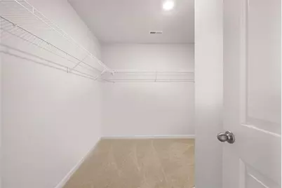 302 Friendship Oak Way, Hampton, GA 30228 - Photo 31