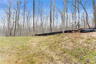 96 Hawks Ridge Ct, Cleveland, GA 30528 - Photo 29